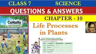 Class 7 Science | Life Processes in Plants | Chapter 10 Question Answer | Curiosity | 
