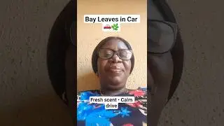 Keep 2 Bay Leaves in Your Car &mdash; This Simple Trick Has Benefits #BayLeaves #CarHacks #NaturalLiving