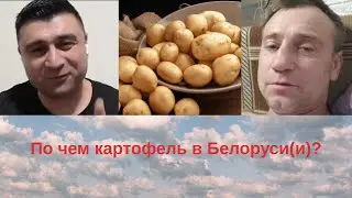 Беларусь это область в его понимание