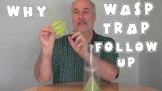 WHY Wasp Trap Follow Up Review | EpicReviewGuys 4k CC