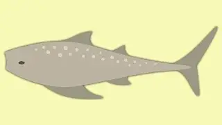 Cat Goes Fishing - Maw catching Guide