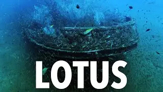 Diving ship wreck Lotus Barge in Colombo