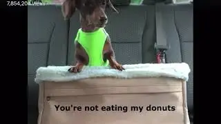 Dog and owner argues about donuts (from Facebook) read desc