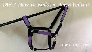 DIY Horse Halter Tutorial | Easy Webbing Halter for Beginners