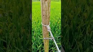 Incredible Slip Knot &mdash; Simple, Fast, and Super Strong! #knowledge #knot #interesting #technique