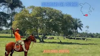 GUARATARO DEL POTRERO-Jes&uacute;s Daniel Quintero- El Tigrito de Matanegra