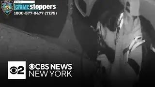 NYPD hunting for suspect in Central Park attempted rape