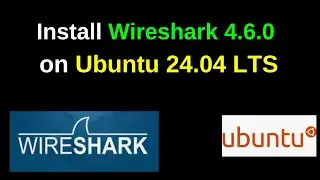 Установка Wireshark 4.6.0 в Ubuntu 24.04 LTS | Полное руководство по настройке сетевого анализа