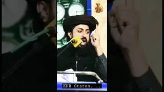 #tlp2023 #reels #karachielection #karachinews #rizvimedia #saadhussainrizvi #short #khrstatus #tlp