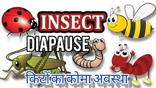 Insect Diapause(कीटों के सुसुप्तावस्था का अध्ययन) Meaning//Types//Terminology/Examples