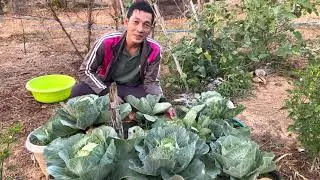 เก็บผักในสวนกินกับก้อยขม จุ๊เนื้อ แซ่บๆ