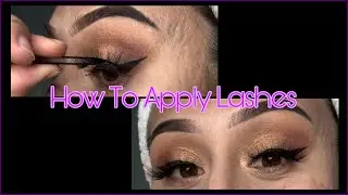 HOW TO: Apply Lashes | step by step | #lashapplication #lashtutorials #falselashes #eyelashes