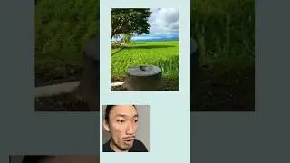 Referensi Toilet Papa