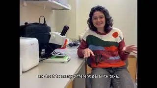 Dr. Sarah Goodnight - Post-Doc Research Pt. 2