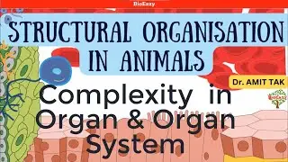 Complexity in Organ and Organ System| Structural Organisation in Animal| Cockroach |Frog |DrAmit Tak