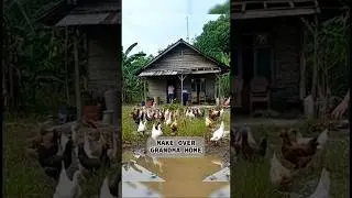 GrandMa Home Renovation Timelapse 🏚️➡️🏠