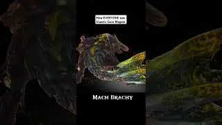 How EVERYONE saw Chaotic Gore Magala #monsterhunterrise #dragon #mhw #monsterhunter
