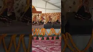 Panjabi folk dance shami