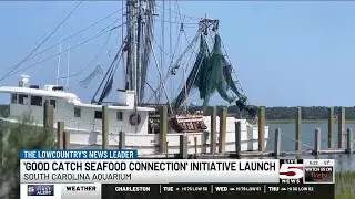 VIDEO: &lsquo;Good Catch Seafood Connection&rsquo; fights food insecurity in the Lowcountry