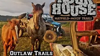 HMT Wild Horses Gilbert WV
