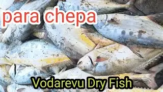 Vodarevu Dry Fish Process At home/vodarevu yendu chepalu/viral video #jeevanajyothivodarevuvlogs 