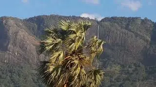 Kollankode....Aravindettante THAMARAPADAM...