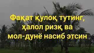 ЖУМА куни Пайғамбар Муҳаммад дуоси, инша Аллох, омонлик, бойлик ва муваффақият келтиради
