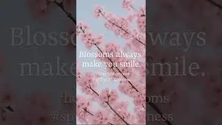 Like cherry blossoms, happiness blooms in unexpected moments. #cherryblossomseason  #bloom