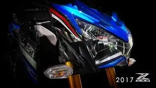 North India's First Kawasaki Z800 2017 Model - Exclusive Video!!