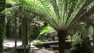 Tarra Valley Picnic Grounds
