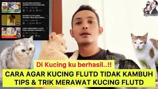 TIPS AMPUH AGAR KUCING FLUTD TIDAK MUDAH KAMBUH & KUCING BISA HIDUP SEHAT PANJANG UMUR 