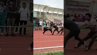 forest state tug of war game
