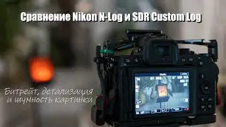 Сравнение Nikon N-Log и SDR Custom Log