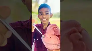 Discover this 🍓 Ice Cream! | Delicious Creamy ice-cream 🍧 | Mini Flavor Trials
