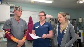 VTHT 1341 Preceptor Introduction