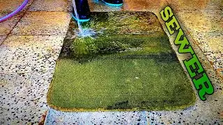 Cleaning dirty green carpet full of black sewer water|satisfying rug cleaning|asmr