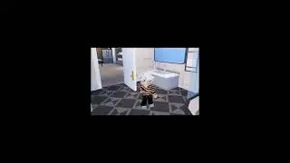 #dandysworld #роблокс #roblox #врек #мем #мирденди #voiceeffects #рофл #в_р_е_к_о_м_е_н_д_а_ц_и_и 