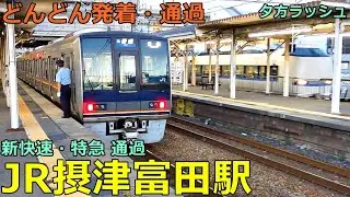 JR摂津富田駅 2🚃どんどん電車が発着・通過！●新快速、特急 サンダーバード・こうのとり回送・ひだ 等／夕方ラッシュ 京都線【JR西日本】