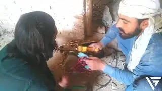 SADA GUL SHAGARD//FUNNY VIDEO BY GHANI VINES.
