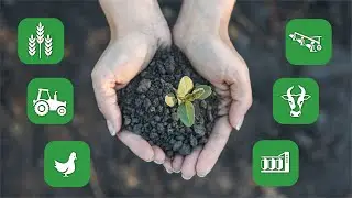 Czy można jednocześnie pracować za granicą i być ubezpieczonym w KRUS?