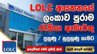 LOLC Holdings  Job Vacancies in Sri Lanka 2026 I Best Jobs Sinhala I New Job Opportunities
