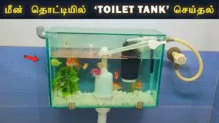 How to make a Fish Tank and Toilet Tank in one Setup