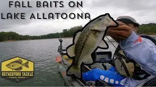 Best Fall Bass Fishing Baits for Lake Allatoona (Tackle Shop Haul)