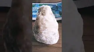 quartz rock or not?#shorts