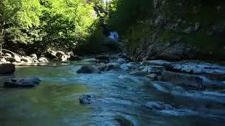 Relaxing River Ambience 4K with Soothing Bird Sounds for Stress Relief and Deep Sleep