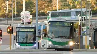 Transperth 1219, 3070 & 2937 at Barry Marshall Parade, Murdoch