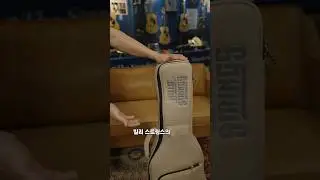 MARTIN GUITAR DX2E BILLY STRINGS CASE 마틴기타 아티스트 시그니처 모델 빌리스트링스