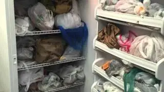 HS216: Hidden Populations: Dorm Life in the University of Guam