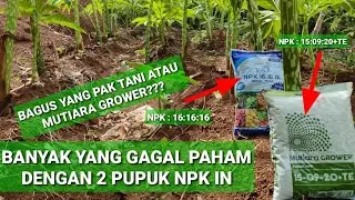 MANY PEOPLE MISUNDERSTAND THESE 2 NPK FERTILIZERS