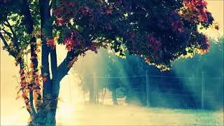 James Lowndes & Paul Lowndes - Only You (Alex H Remix) (Music Fan)